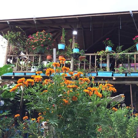 Wood House Hostel La Fortuna 외부 사진