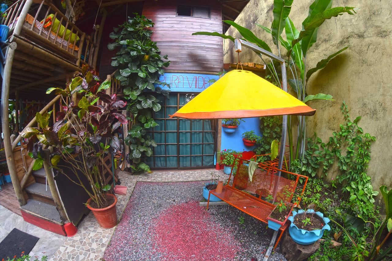 Wood House Hostel La Fortuna 외부 사진