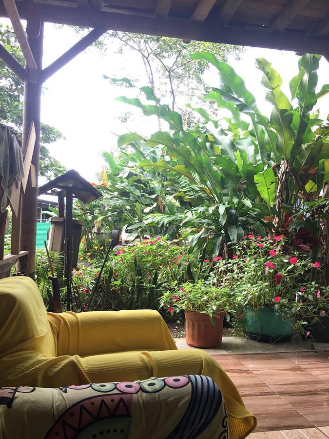 Wood House Hostel La Fortuna 외부 사진