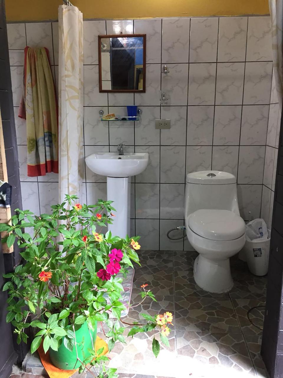 Wood House Hostel La Fortuna 외부 사진