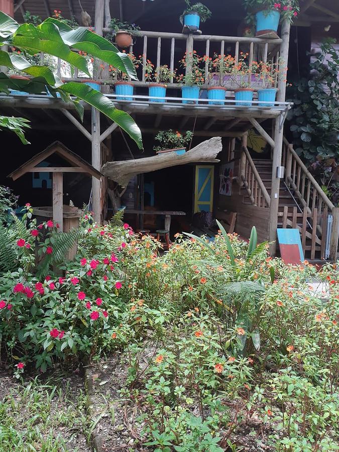 Wood House Hostel La Fortuna 외부 사진