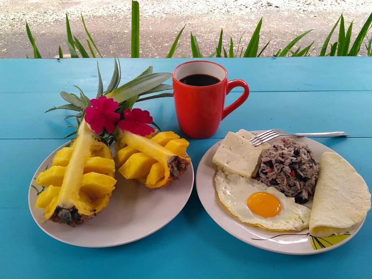 Wood House Hostel La Fortuna 외부 사진